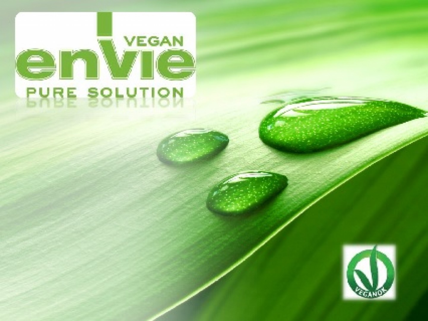 Envie Vegan Pure Solution