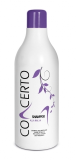 Šampon pro časté použití pro objem a lesk vlasů 1000ml